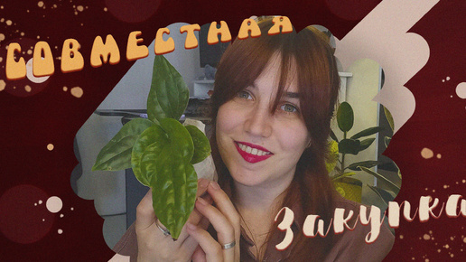 Совместная закупка из Тайваня🌿