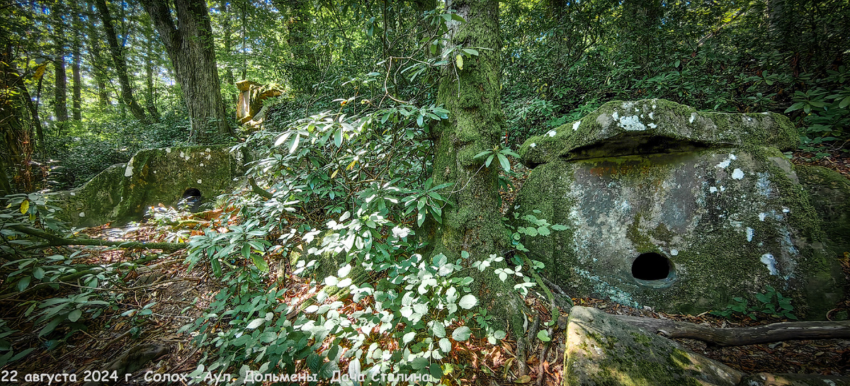 Самые зрелищные мегалиты Сочи находятся в урочище 3 дуба