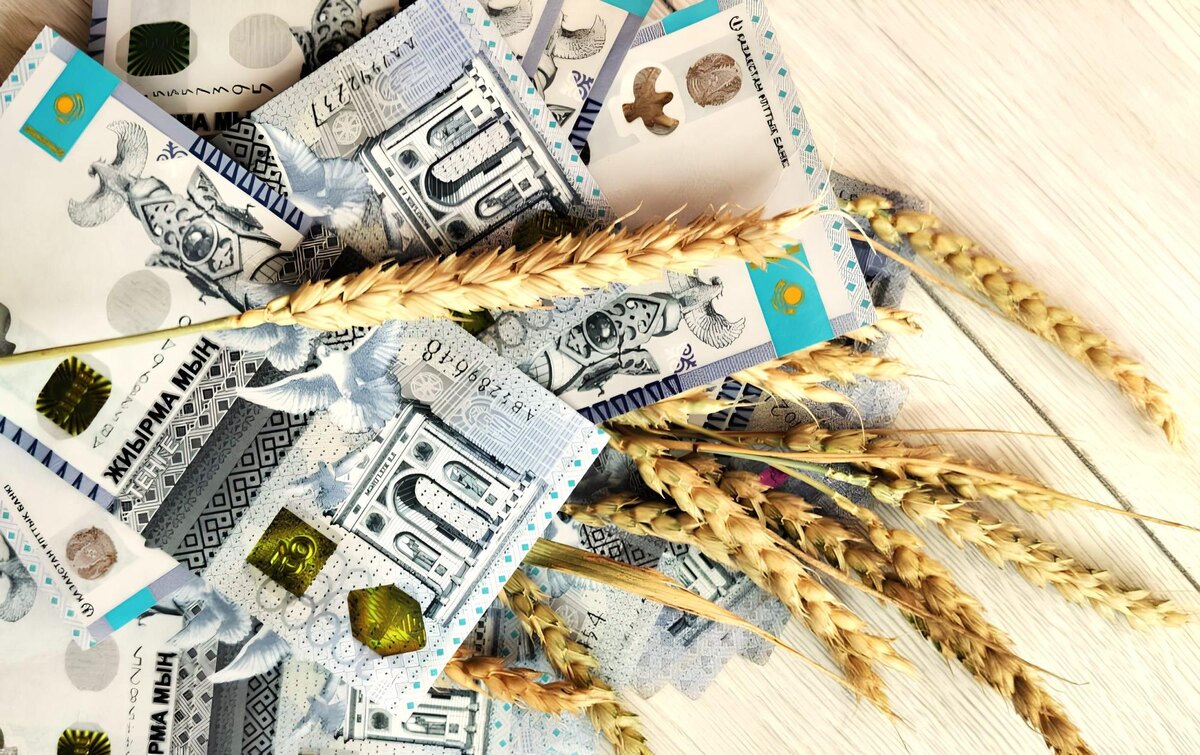 Фото: АПК Новости