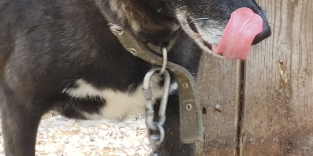 Пока мы существуем, мы будем помогать несчастным и обделённым. Надеемся на вашу поддержку, друзья