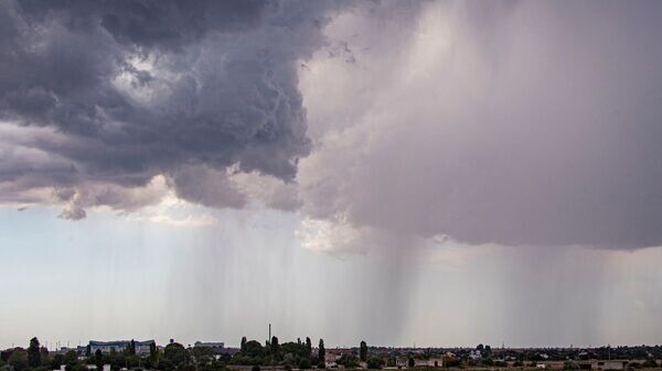    © РИА Новости Крым . Дмитрий Макеев