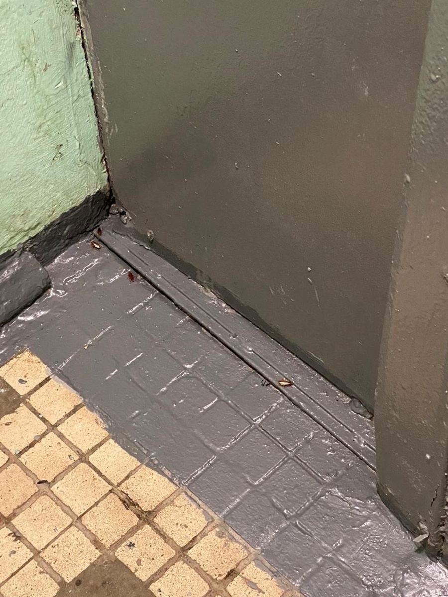 Фото: «Богородское Москва М125»