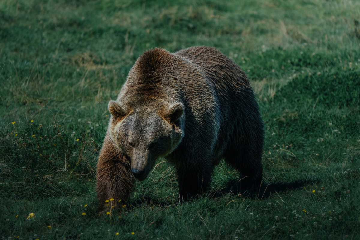 Картинка с бесплатного фотостока https://unsplash.com, автор Ronan Hello