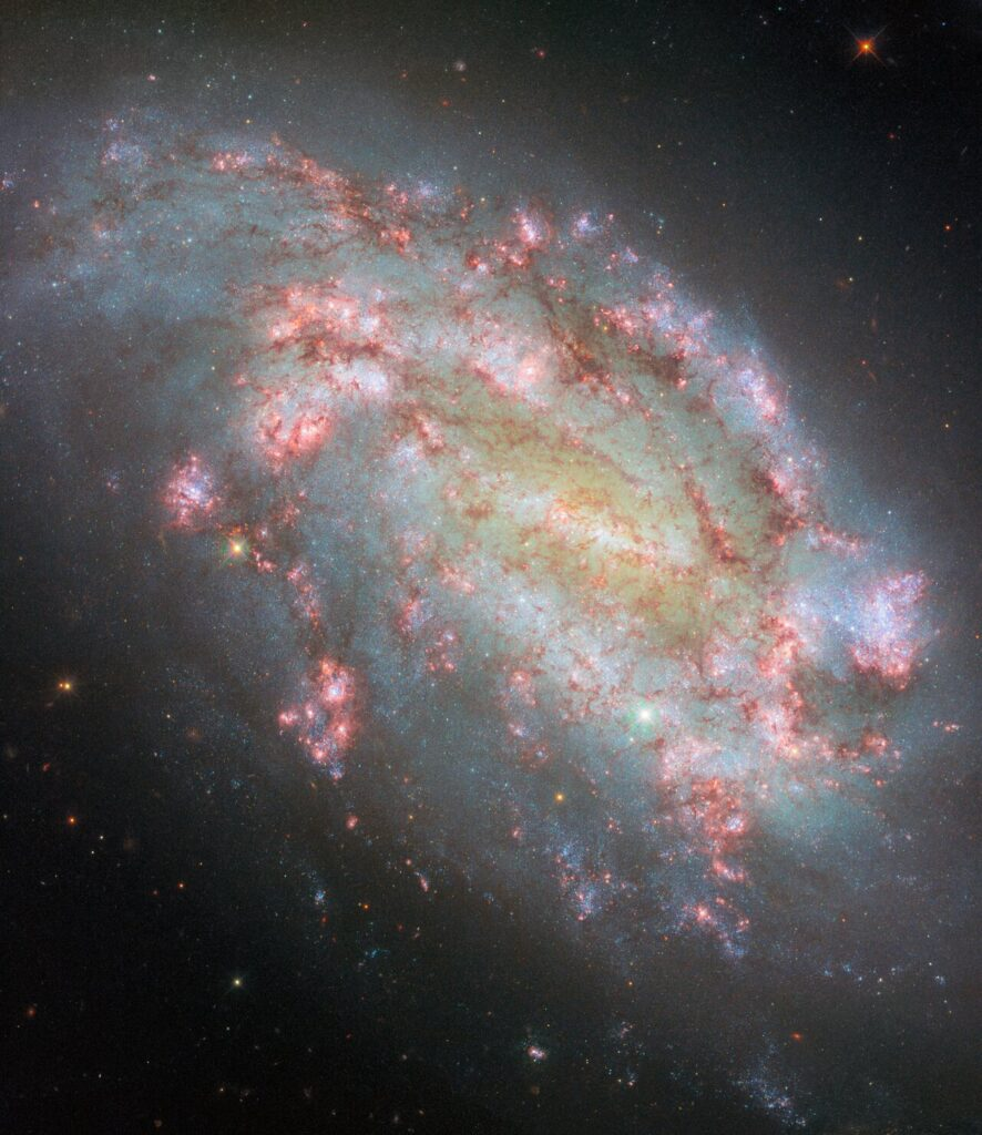 Галактика NGC 1559 (фото Hubble). Источник: ESA/Hubble & NASA, F. Belfiore, W. Yuan, J. Lee and the PHANGS-HST Team, A. Riess, K. Takáts, D. de Martin & M. Zamani (ESA/Hubble) 