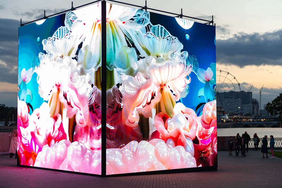 Фото: Андрей Ткаченко