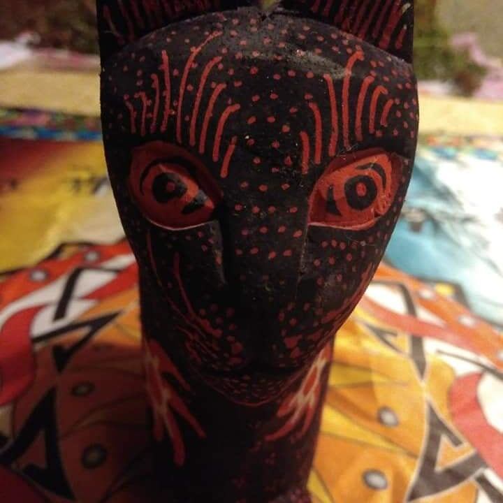 Фото автора статьи 