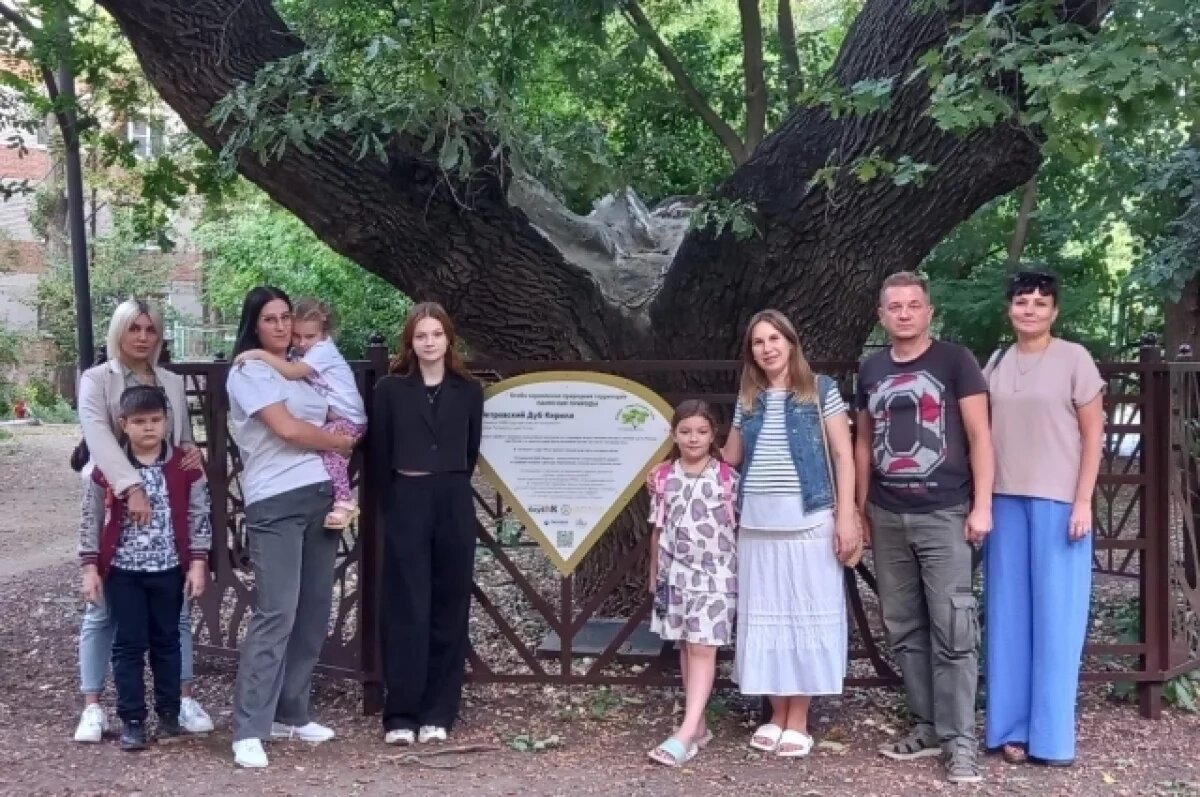    В Таганроге активисты будут давать жёлуди дуба Петра I для выращивания