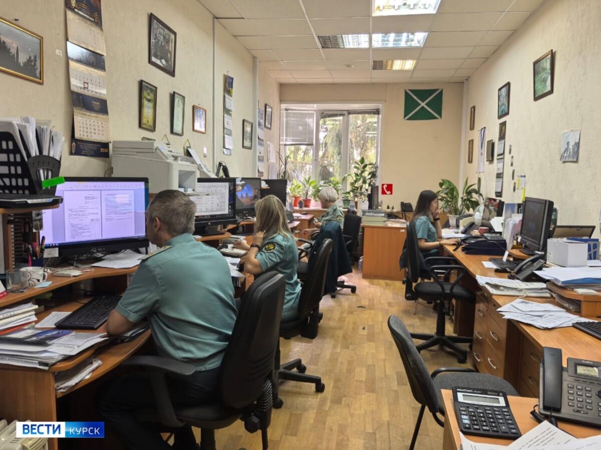    Курские таможенники собственными силами эвакуировали из опасных зон более 200 своих коллег и их семьи