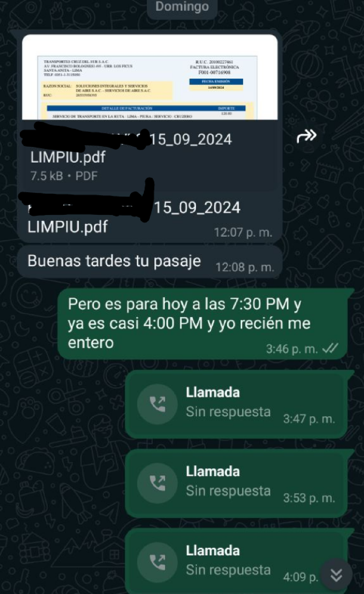 Сообщение с присланным билетом. Далее я пытался безуспешно связаться с руководством компании.