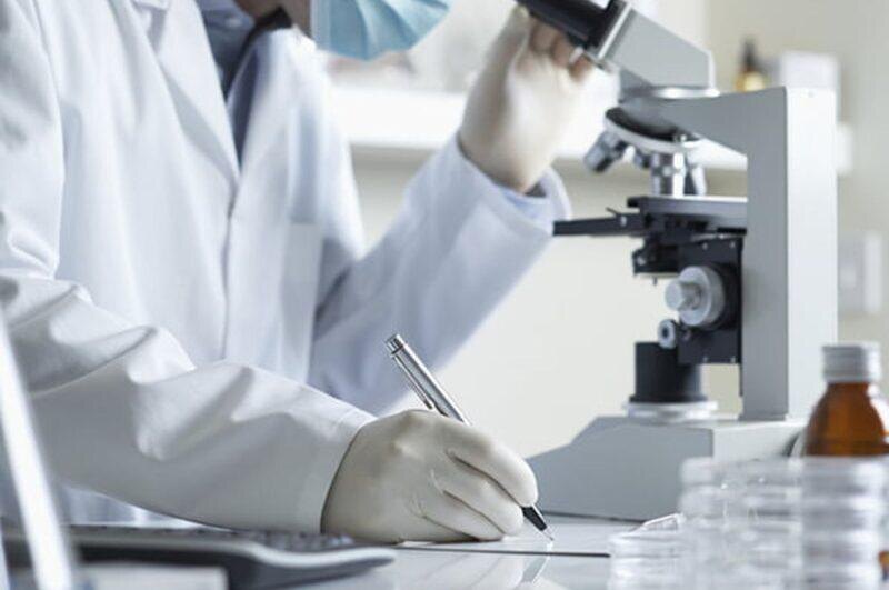 Исследователь. Фото: Cоцсети. Фотография взята из открытых источников.  📷
