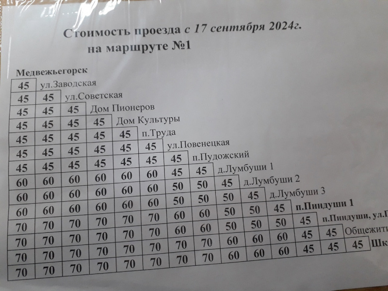    Цены на проезд в автобусах Медвежьегорска резко вырослиМаргарита Иванова
