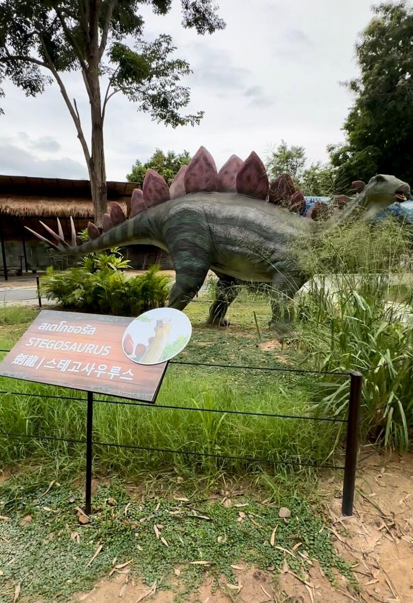 Экспонат динозавра стегозавра в парке 