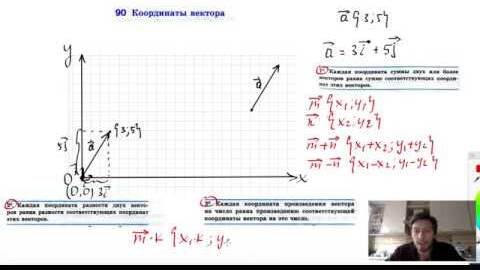 90. Координаты вектора