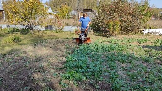 Патриот, Заря и Я! Работа на участке.