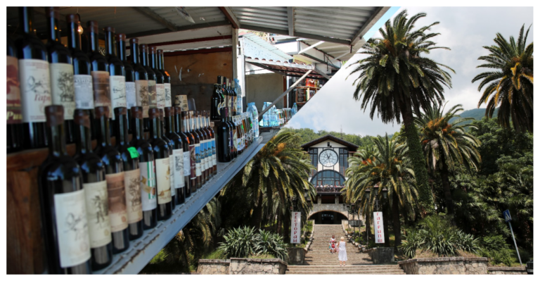    Фото: Дмитрий Феоктистов/ТАСС; Александр Погожев/ТАСС Анастасия Давыдова