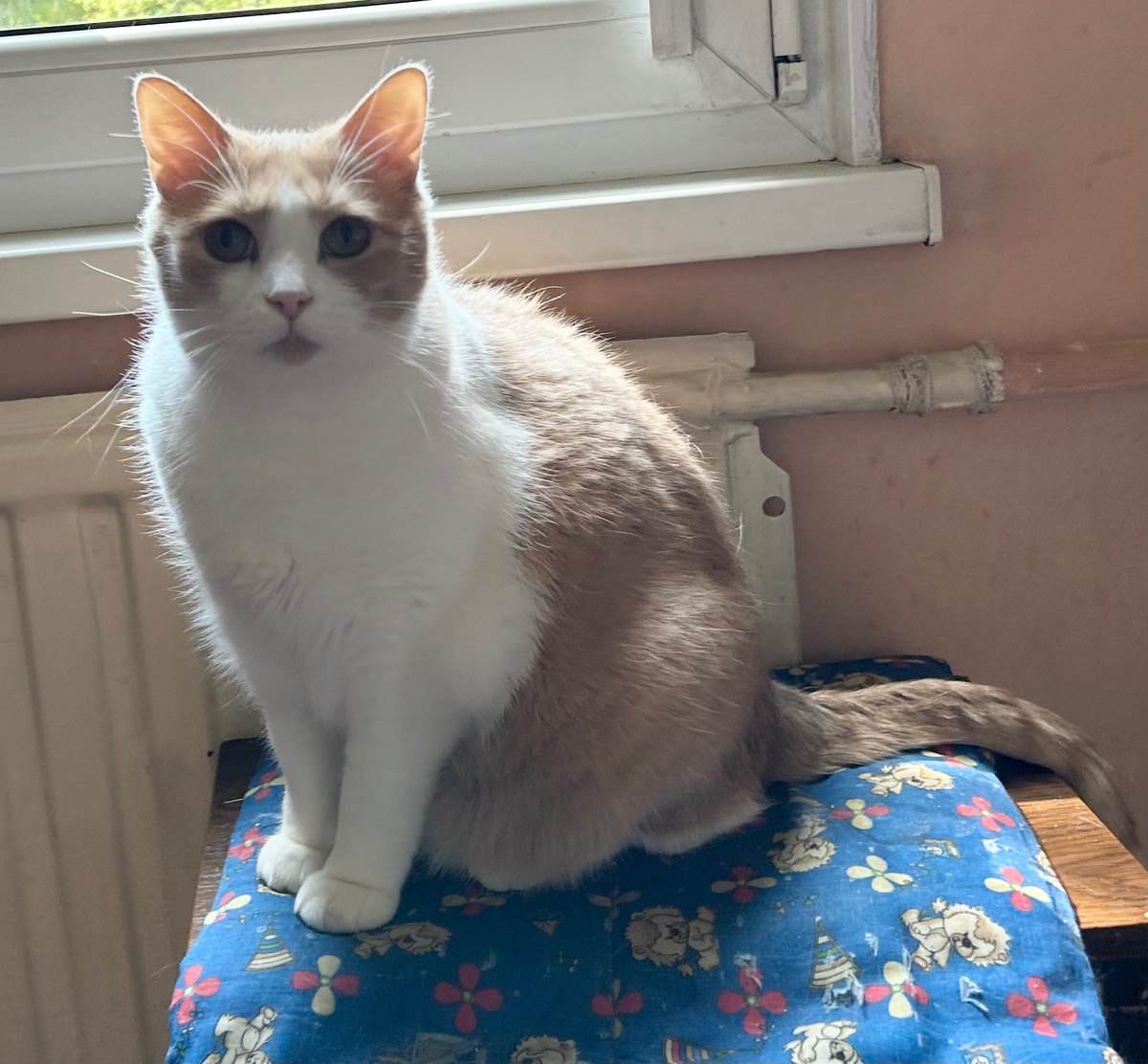 Туфан вас очень ждет!