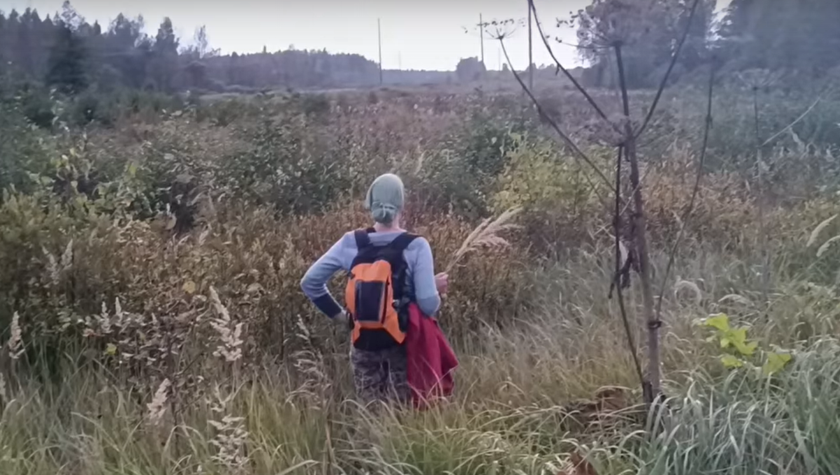    Скриншот из видео на странице поискового отряда в соцсетях