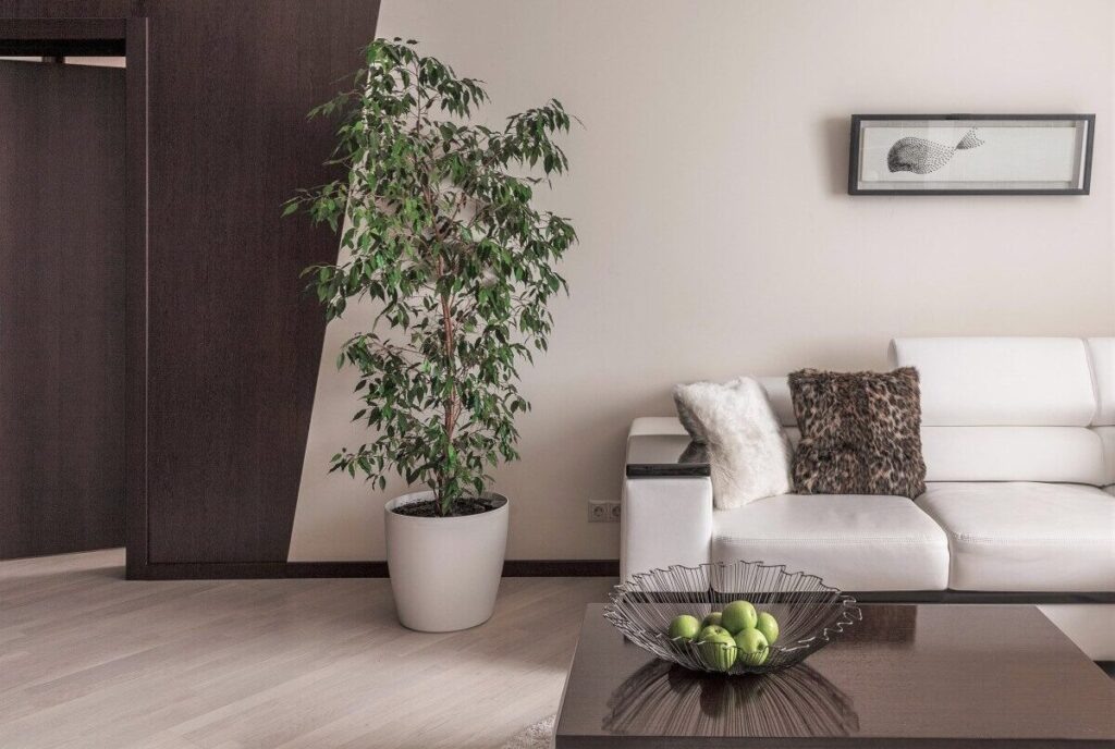 Проект: студия «SunWaveStudio»