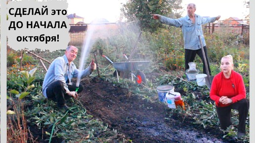 Если сделаете так-ЧЕСНОК ВЫРАСТЕТ С КУЛАК!