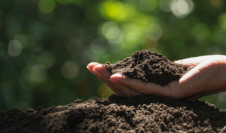 Фото: kirisa99 © 123RF.COM 