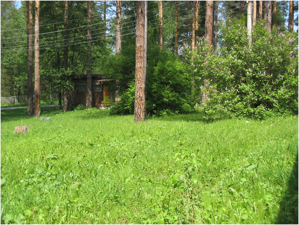 Здесь мы с доктором на едва заметной тропинке поймали безжалостного, маленького хищника - ласку. Фото автора.