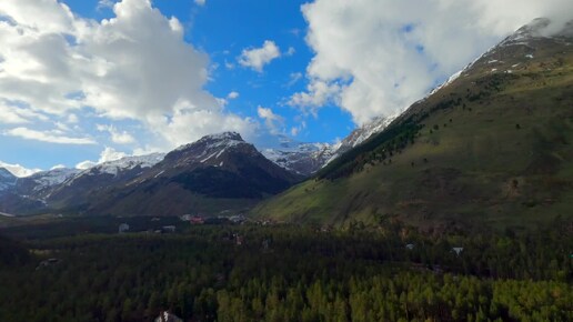 В горах сосновый лес