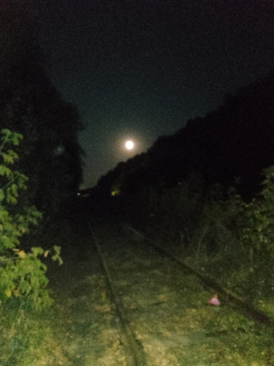 Источник: личное фото