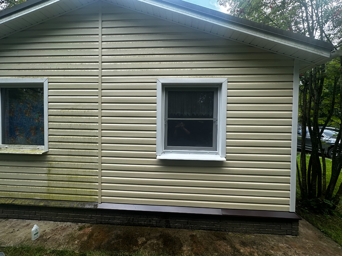 На фото грязный дом (правая сторона снизу уже помыта) 