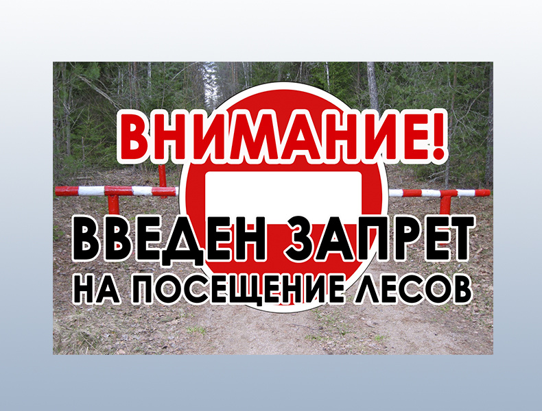 Запретили ходить в лес в Торопецком округе Тверской области