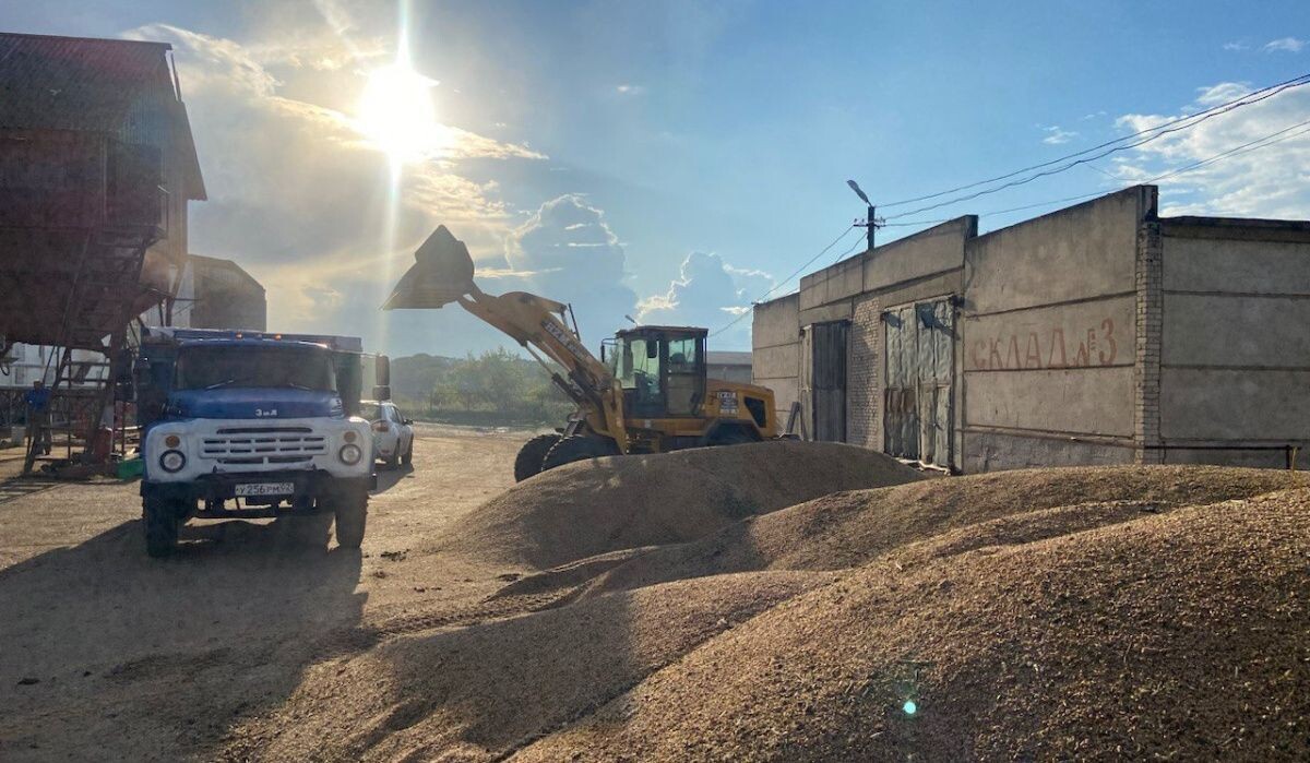     Сушка зерна. Источник: dixinews.ru Автор фото: Никита Белых