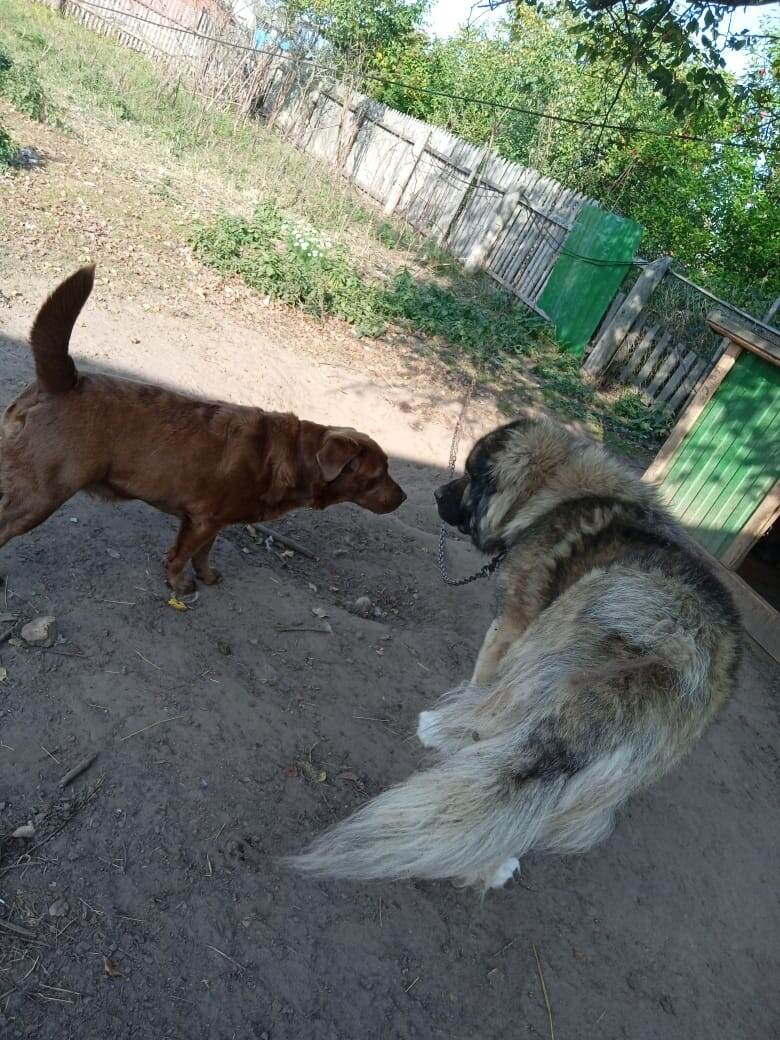 И чë? И всё???!!! 