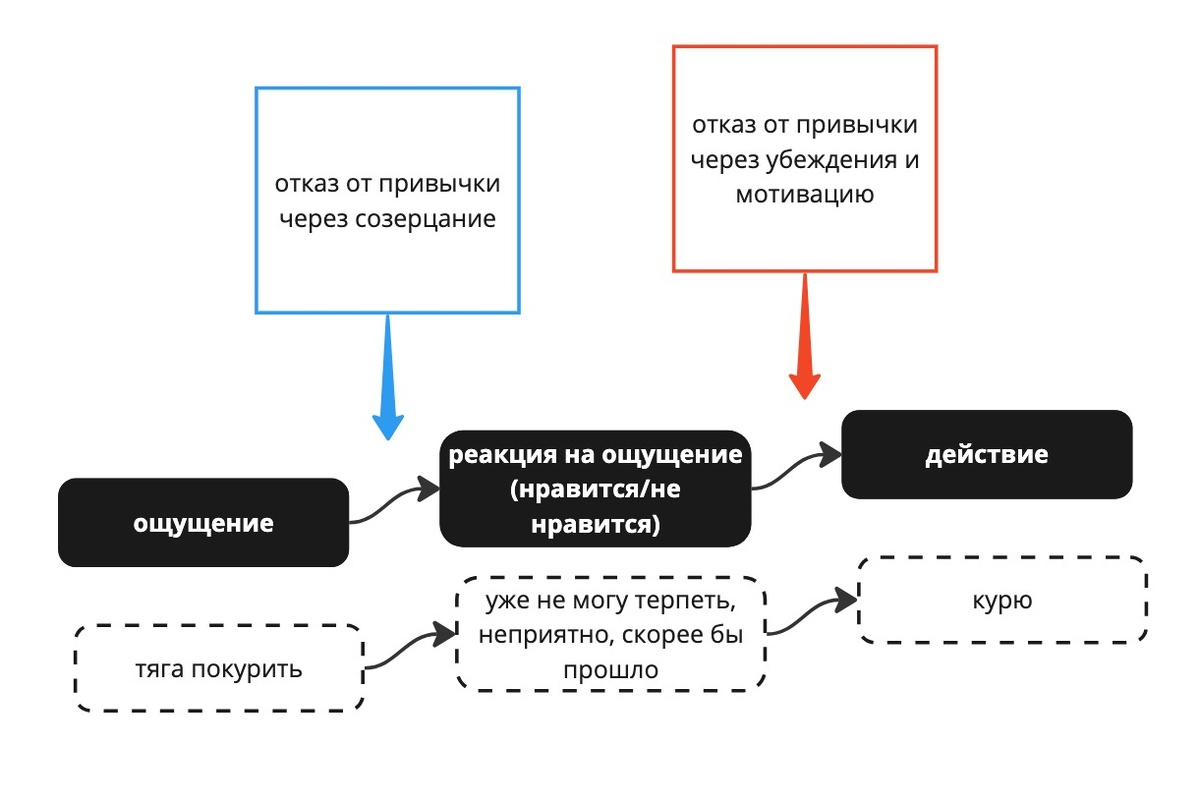  Из чего состоит привычка и как ее можно разрушить.