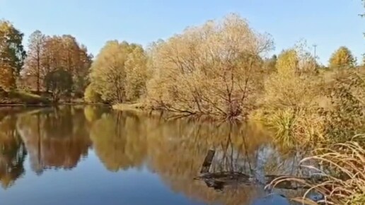 Золотая Осень 🤗🍁🍁🍁