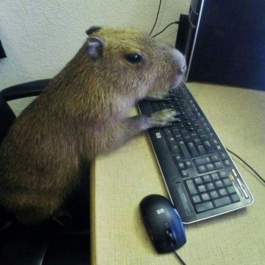 Хубербара отвечает на ваши вопросы