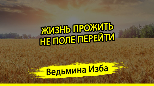 ЖИЗНЬ ПРОЖИТЬ - НЕ ПОЛЕ ПЕРЕЙТИ. #ВЕДЬМИНАИЗБА ▶️ #МАГИЯ