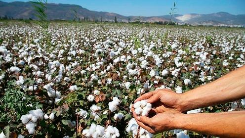 Фото с сайта uzreport.news