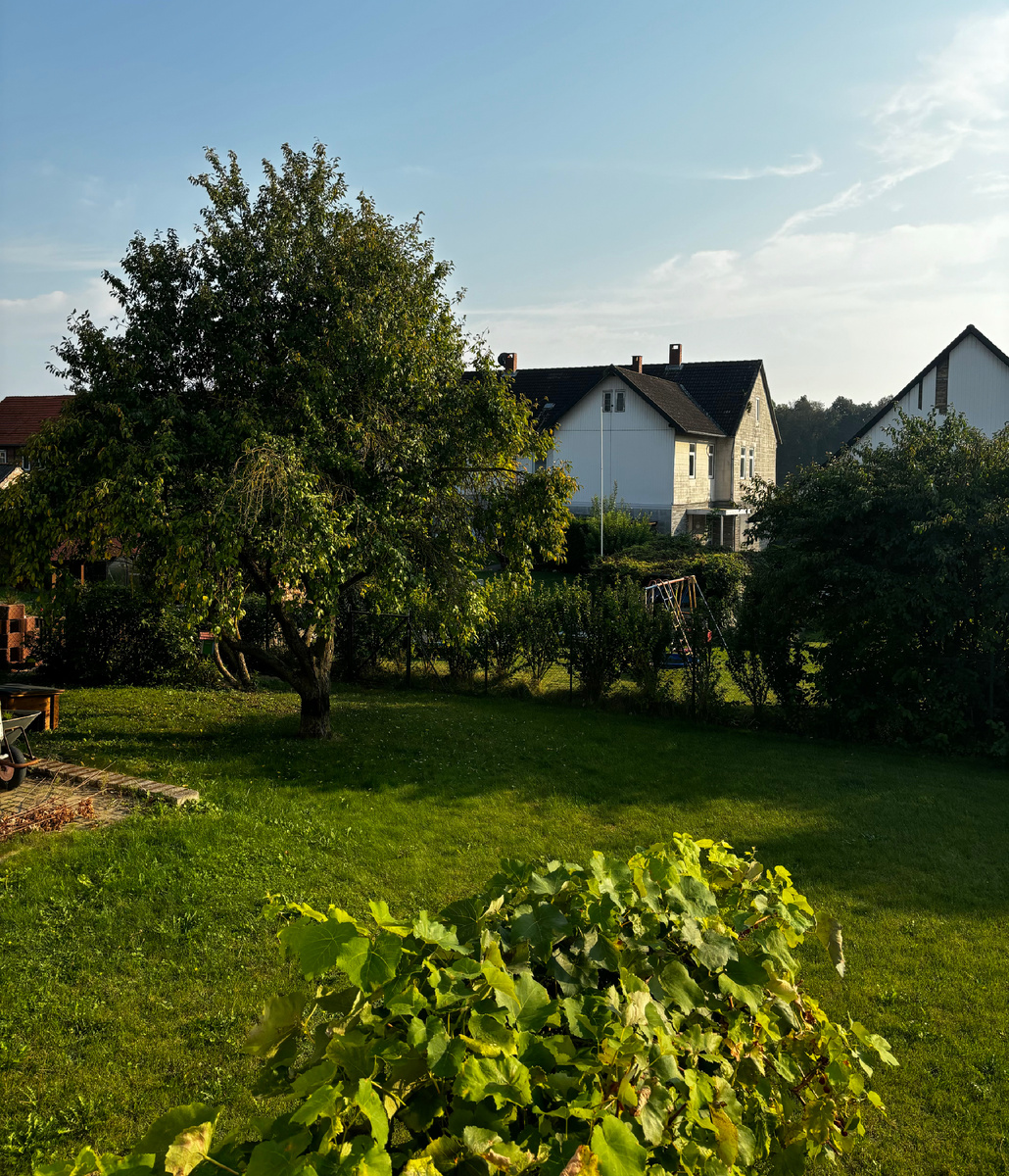Сегодня в Нижней Саксонии солнечно. Вид на наш задний двор.