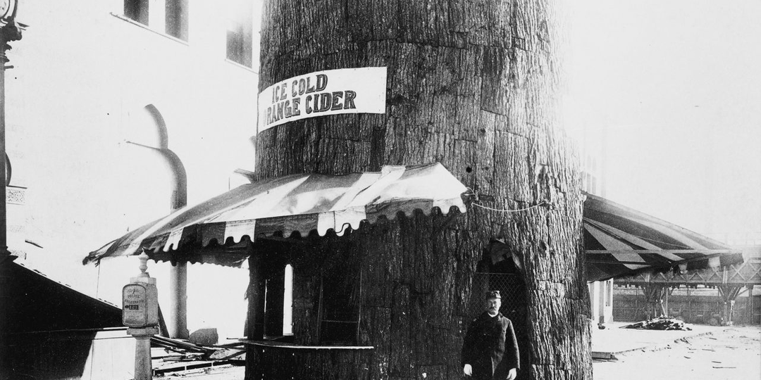 Из-за чего в 1893 году обычная газировка вызвала скандал мирового масштаба. Или не совсем обычная?