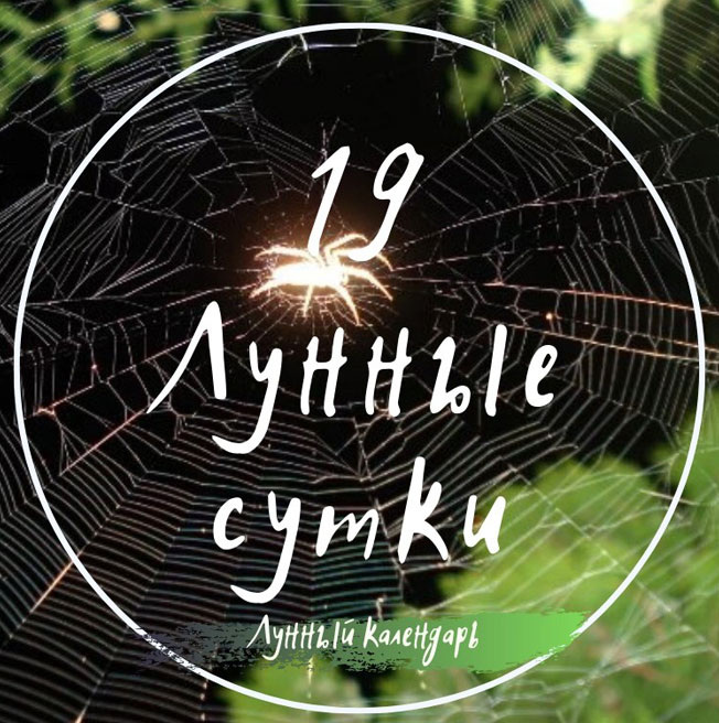 Лунный календарь, астрологический прогноз и рекомендации на 20.09.2024 года от астролога Елены Луженецкой