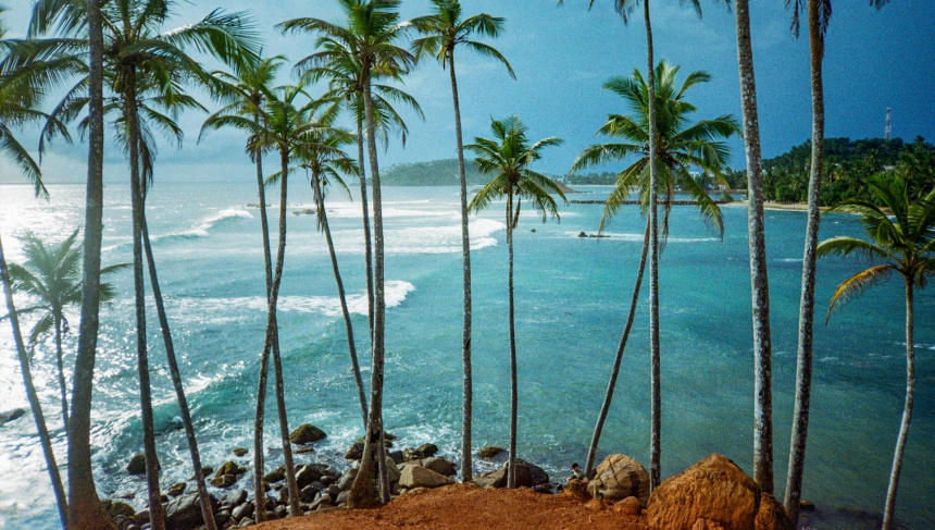 Фото: Andrei Alekseev, unsplash