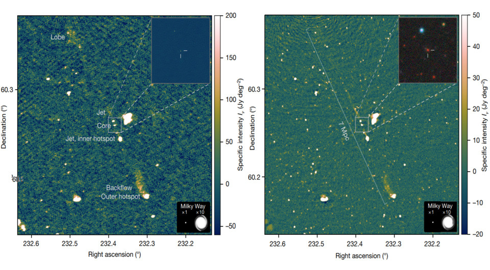   Martijn S. S. L. Oei et al. / Nature, 2024