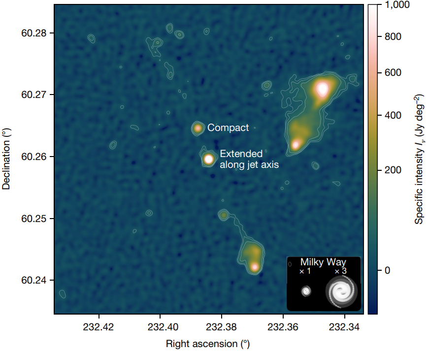   Martijn S. S. L. Oei et al. / Nature, 2024