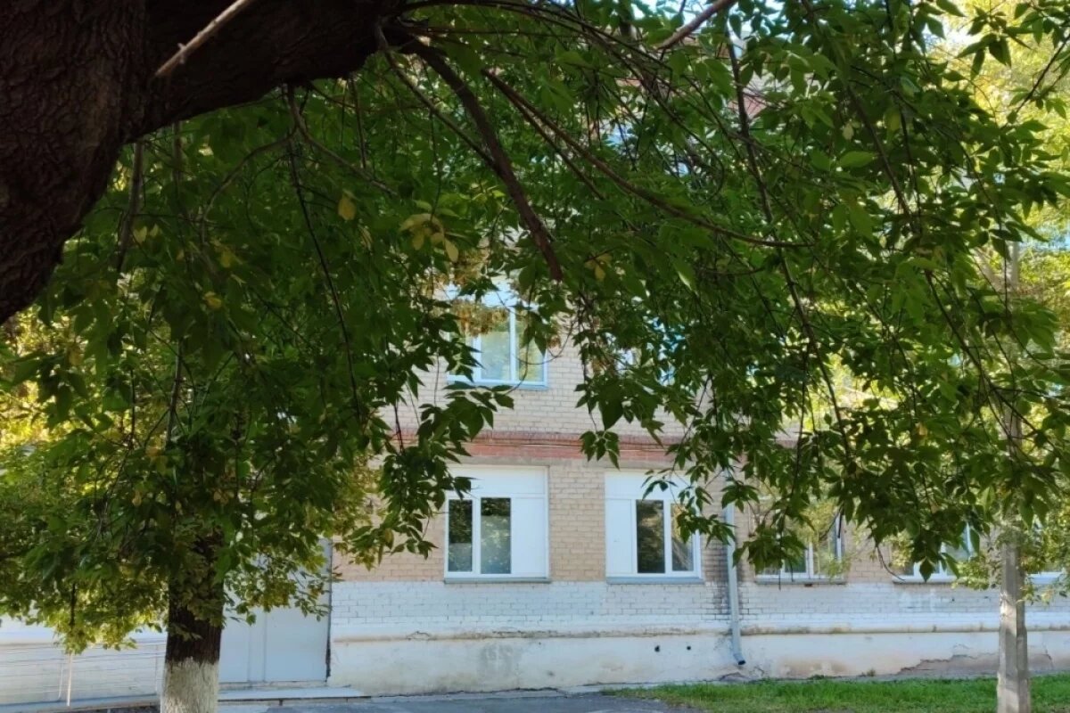    Агрессор или жертва?