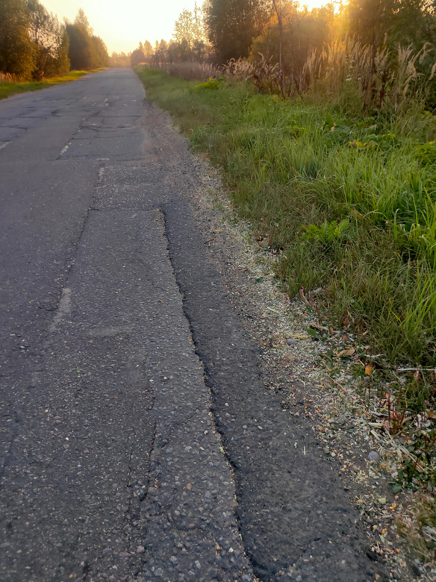 Вся обочина такая!