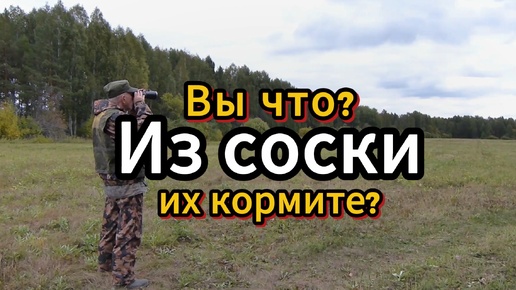 Вы что из соски их кормите?