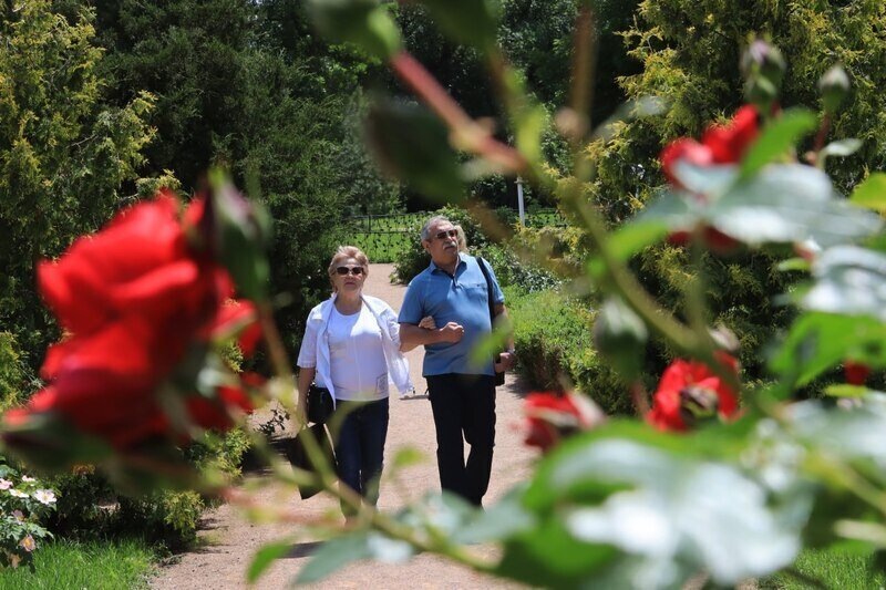 Фото: Наталья Сомова