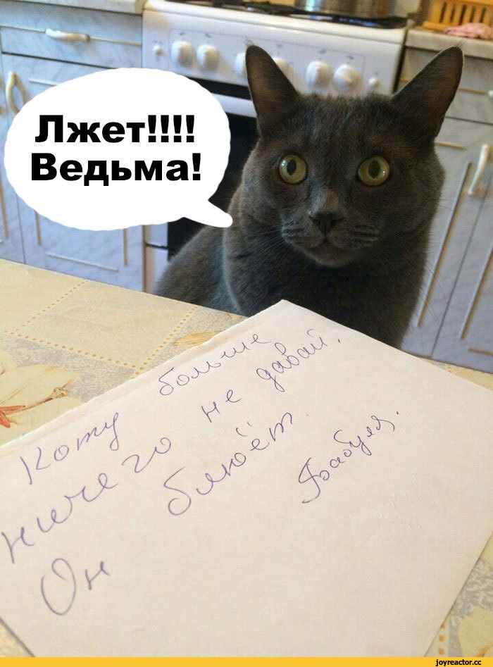 источник Яндекс-картинки