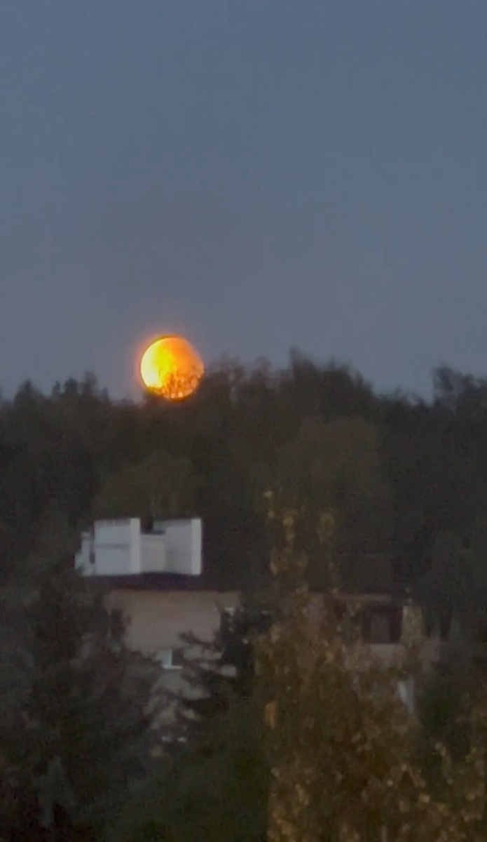 Может, дело в полнолунии?