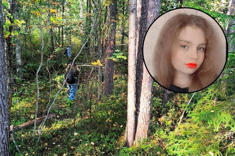 Фото из открытых источников