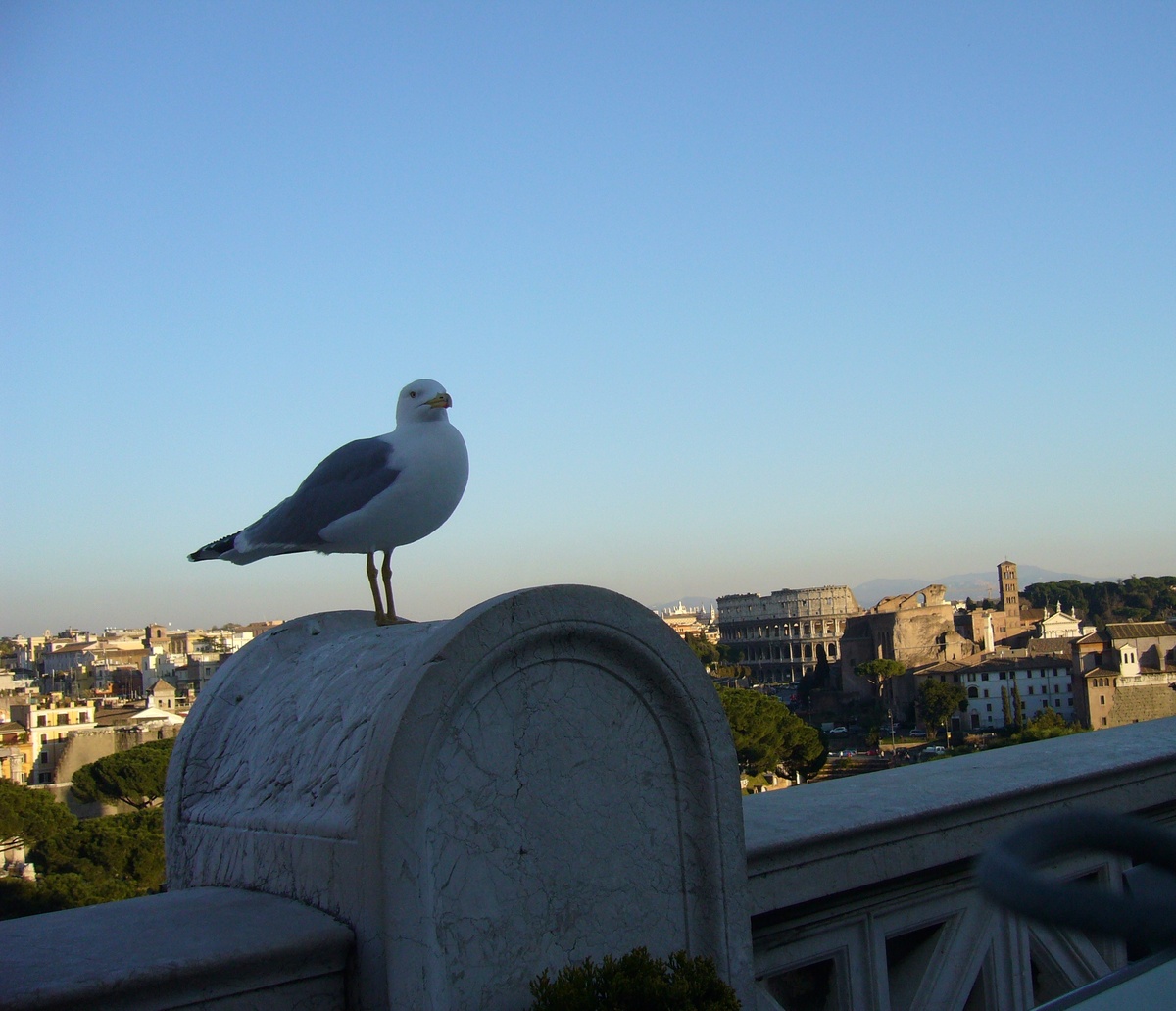Рим. Фото автора